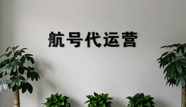 账号代运营执行效果的关键误区与正确理解